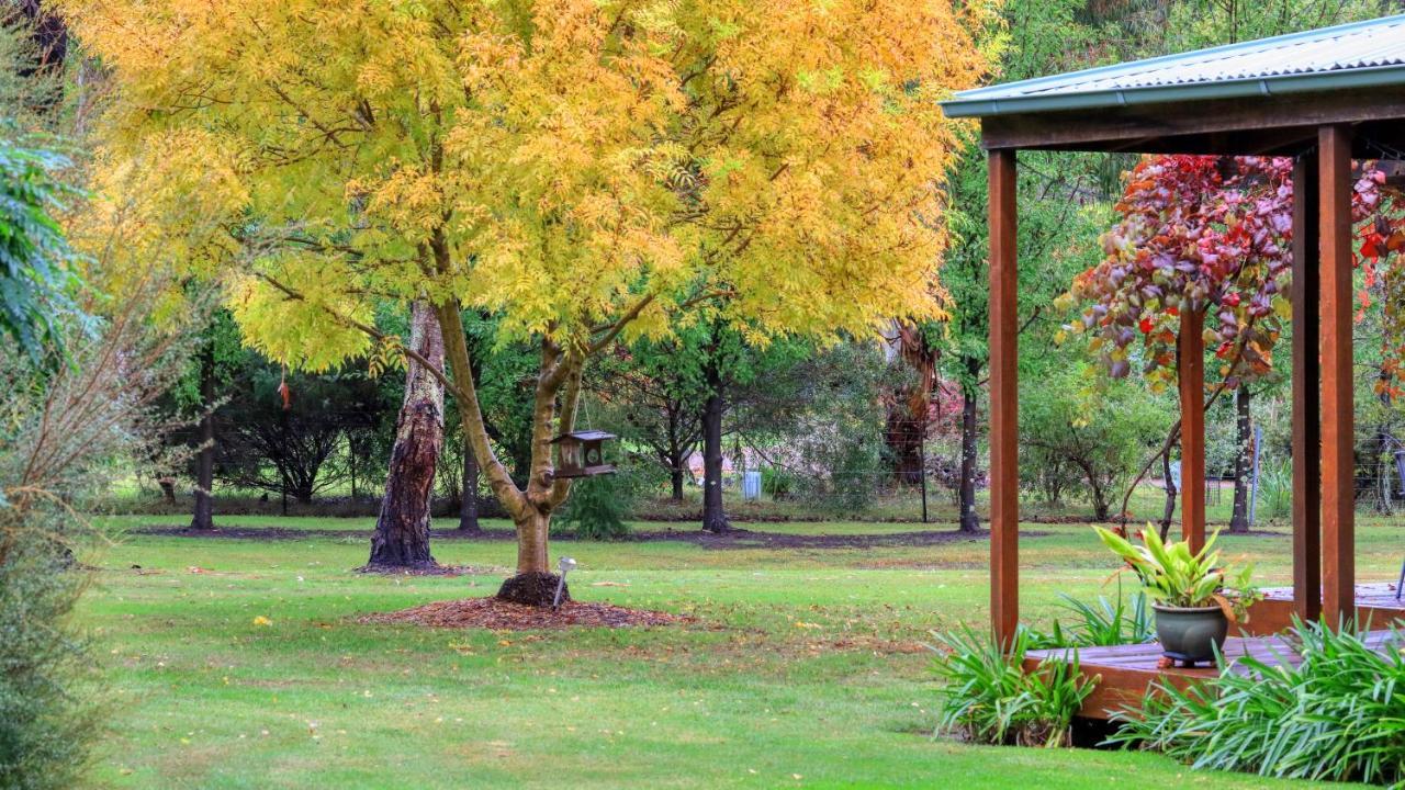 Beechworth Cedar Cottages Zewnętrze zdjęcie